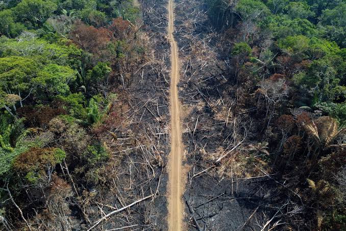 Amazon De-forestation for COP-30