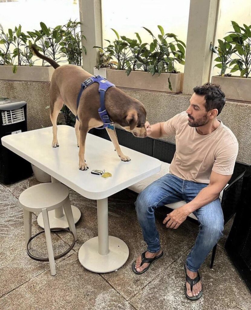 John abraham with his dog